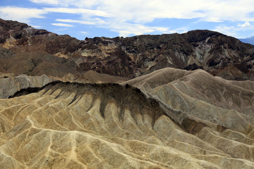 _MG_0116