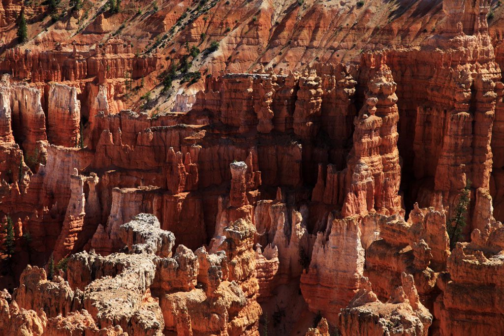 _MG_8960